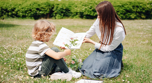 How Can Lyme Disease Affect Your Vision 640