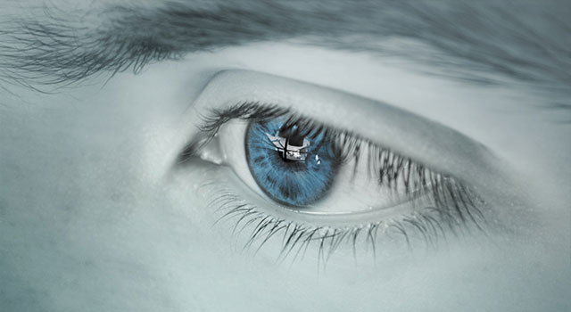 blue eye tilted head to see better
